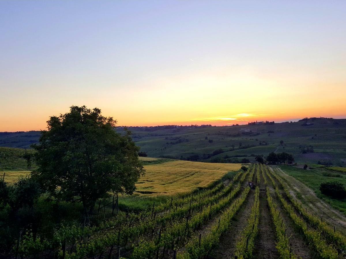 Bed and Breakfast La Terrazza Sui Vigneti-Rovescala San Damiano al Colle Exterior foto